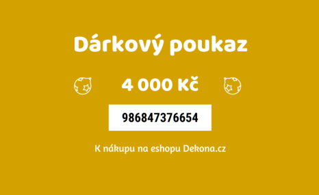 Dárkový poukaz 4 000 Kč