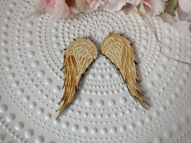 Andělská křídla Valentýna