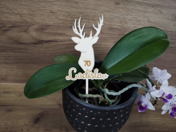 Zápich s jelenem a jménem