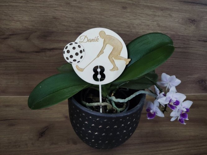 Zápich na dort pro florbalisty se jménem