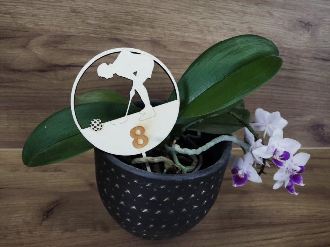 Zápich na dort pro florbalisty