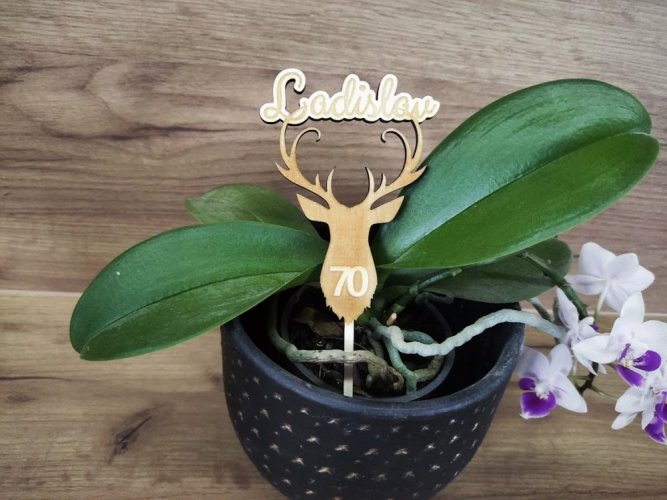 Zápich s jelenem a jménem